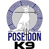 Poseidon K9 Dog Training